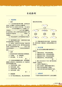 垂体属于 系统,内分泌系统核心枢纽的奥秘探索