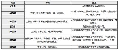 传出神经系统受体分布,传出神经系统受体分布概览