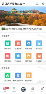 大学校友系统,大学时光里的点滴回忆与成就