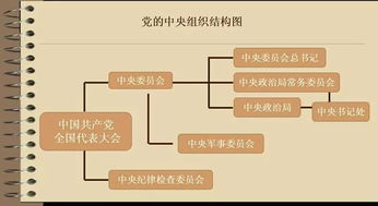 党的组织系统由什么组成,严密组织架构与高效运行机制