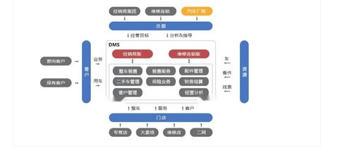 达内dms系统,企业数字化管理的智慧引擎