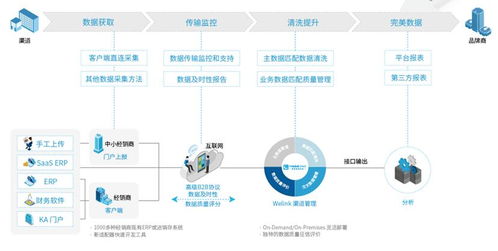 达飞销售系统,揭秘高效销售策略与业绩增长之道