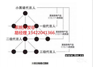 垂直分销渠道系统,构建高效供应链的基石