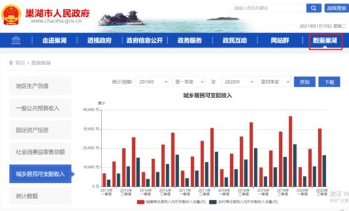 巢湖市工资查询系统,巢湖市财政局工资查询系统操作指南及注意事项