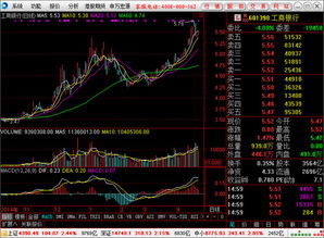 大智慧股票行情系统,601519最新动态解析