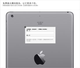 锤子系统官网买ipad,专业推荐与选购指南