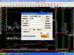 炒股软件系统,助您轻松驾驭股市风云