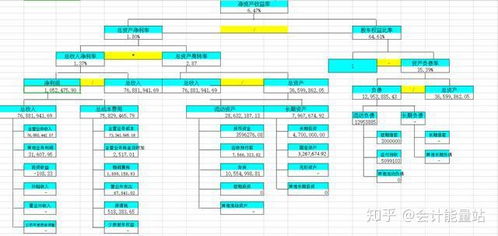 大公司用的财务系统,大型企业财务系统构建与应用全面解析