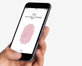 我用iphone不用安卓系统,深度解析iOS与Android的差异体验