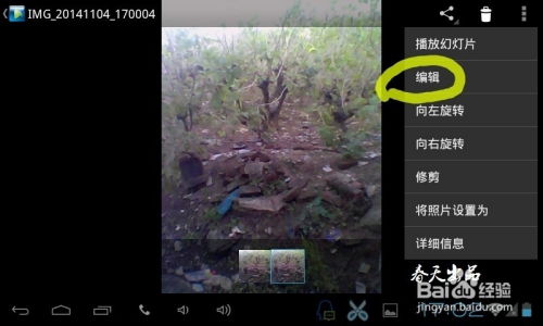 安卓系统如何照片转油画,Android系统下轻松实现照片转油画效果教程